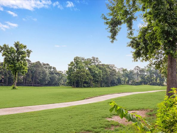 30 Halfmoon Court, The Woodlands TX 77380
