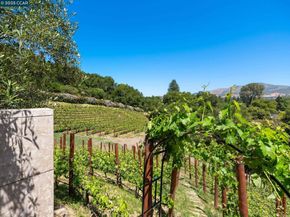 1 Sky Terrace, Danville CA 94526