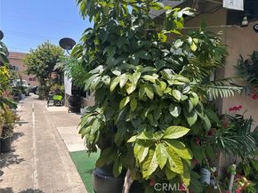 2718 W Mcfadden Avenue, Santa Ana CA 92704