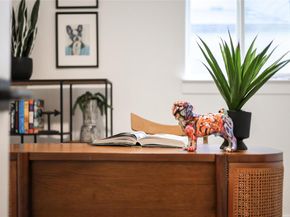 813 Cardiff DR, Austin TX 78745