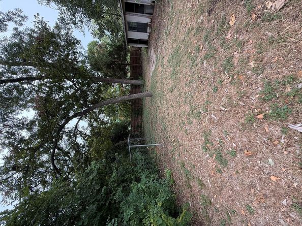 1115 Kirk Ave, Austin TX 78702