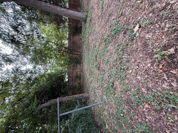 1115 Kirk Ave, Austin TX 78702