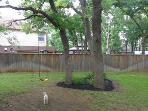 4003 Wyman Cv, Round Rock TX 78681