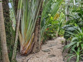 404 Mariner Drive, Jupiter FL 33477