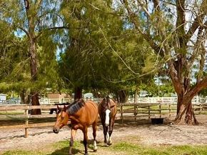 12100 NW 27th Ct, Plantation FL 33323