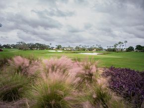 7362 Clunie Place 13304, Delray Beach FL 33446