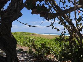 30 Andrews Ave 23C, Delray Beach FL 33483