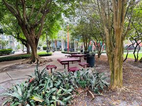 533 NE 3rd Avenue 341, Fort Lauderdale FL 33301