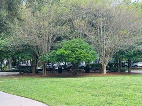 533 NE 3rd Avenue 341, Fort Lauderdale FL 33301