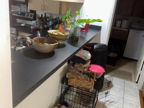 3511 Village Boulevard 302, West Palm Beach FL 33409