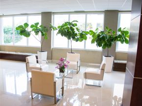 4250 Galt Ocean Dr 1M, Fort Lauderdale FL 33308