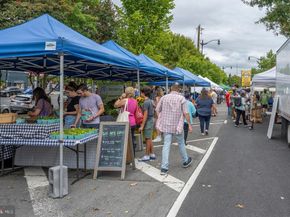 836 Varnum Street NW 201, Washington DC 20011