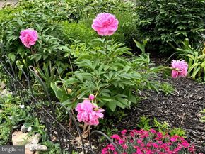 1626 Conlyn Street, Philadelphia PA 19141