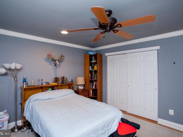 103 Arboresque Drive, New Hope PA 18938