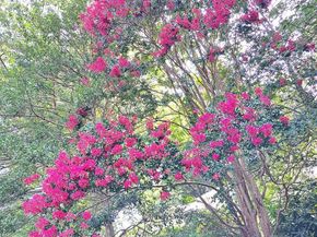 10929 Howland Drive, Reston VA 20191