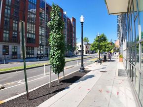 929 Florida Avenue NW 8001, Washington DC 20001