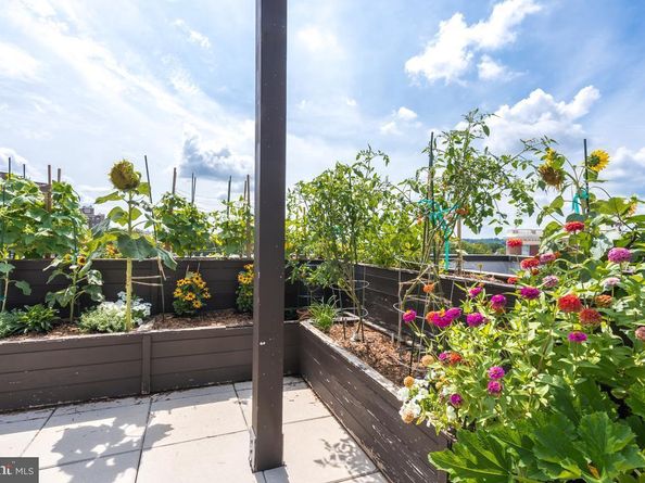 1794 Lanier Place NW 308, Washington DC 20009