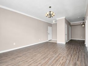 2255 Braeswood Park Drive 102, Houston TX 77030