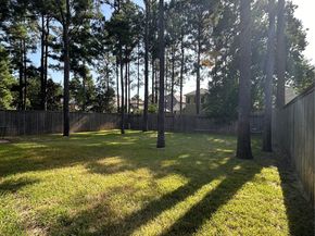 175 W New Harmony Trail, Spring TX 77389