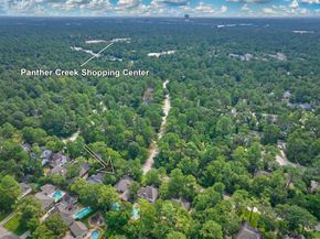 71 Rush Haven Drive, The Woodlands TX 77381