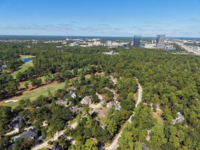 46 Rolling Links Court, The Woodlands TX 77380