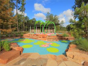 17863 Aile Pierre Pass, Conroe TX 77302