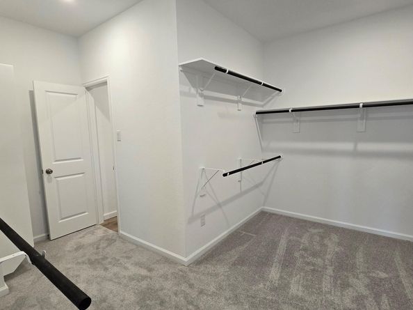 17863 Aile Pierre Pass, Conroe TX 77302