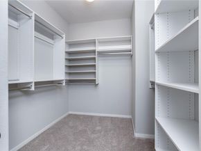 59 Douvaine Court, The Woodlands TX 77382