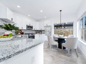 13547 Pasa Robles Lane, Houston TX 77083