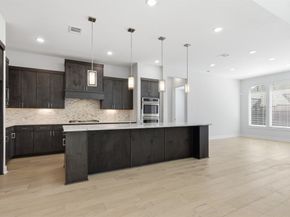 21311 Blue Wood Aster Court, Cypress TX 77433