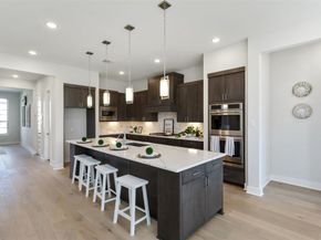 21311 Blue Wood Aster Court, Cypress TX 77433