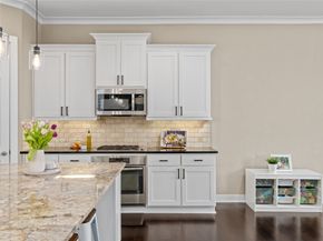 1244 Hobbs Reach Lane, Houston TX 77008