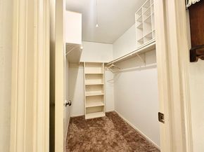 10303 Sageplum Drive, Houston TX 77089