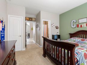 19110 Cardinal Grove Court, Cypress TX 77429