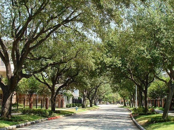 4041 Law Street 606, Houston TX 77005