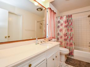 7703 Ludington Drive, Houston TX 77071