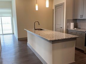 6955 Turtlewood Drive 602, Houston TX 77072