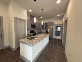 6955 Turtlewood Drive 602, Houston TX 77072