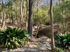 6151 Queenswood Lane, Houston TX 77008