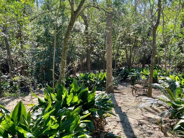 6151 Queenswood Lane, Houston TX 77008