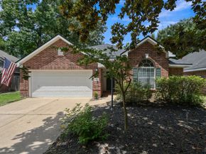 34 Bayou Springs Court, The Woodlands TX 77382