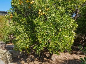 438 Crestview, Monrovia CA 91016