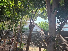 230 N Hoover, Los Angeles CA 90004