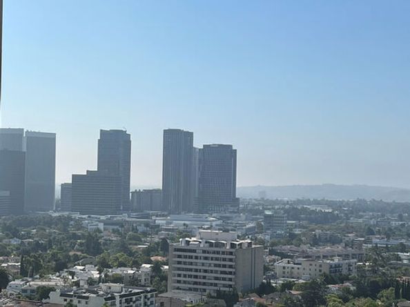 10445 Wilshire Boulevard 1806, Los Angeles CA 90024
