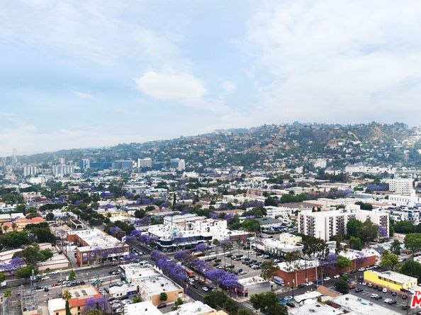1005 N Genesee Avenue, West Hollywood CA 90046