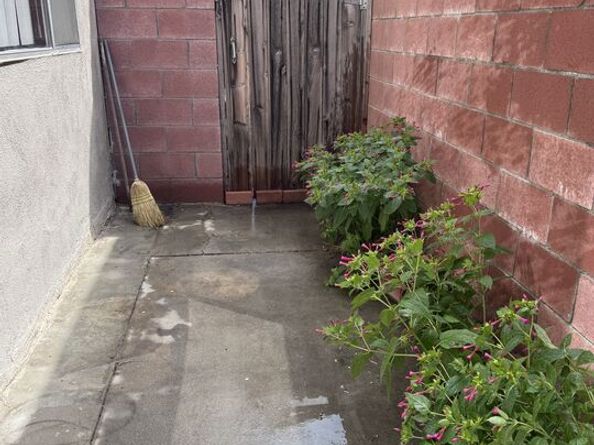 810 Edgewood Street 103, Inglewood CA 90302