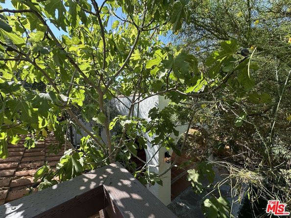 636 N Curson Avenue, Los Angeles CA 90036