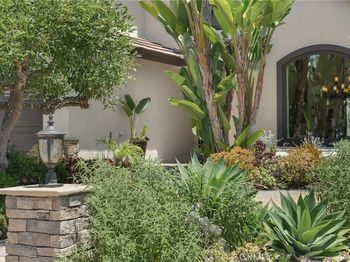 19066 Willow Brook