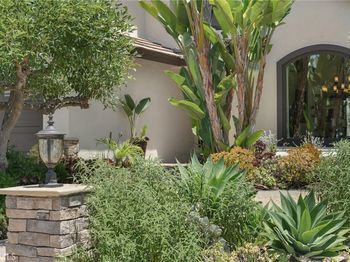 19066 Willow Brook