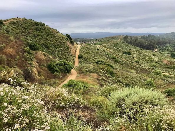 10940 Tantlinger, Tustin CA 92782